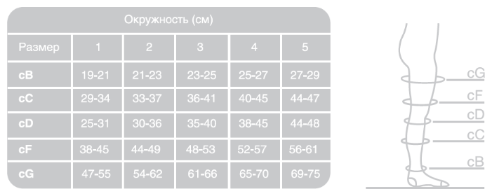 Ergoforma Чулки антиэмболические 2 класс компрессии, р. 3, арт. 227 (25 mm Hg), с отверстием под пальцами, белые, пара, 1 шт.