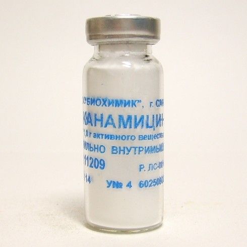 Канамицина сульфат, 1 г, порошок для приготовления раствора для инъекций, 10 мл, 1 шт.